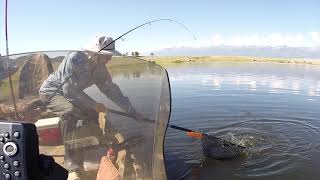 Little Harold at Lake DeWeese HD 1080p
