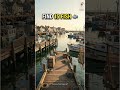 Funny find fish #shorts