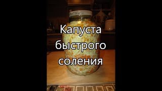 Капуста быстрого соления Капуста быстрого соления