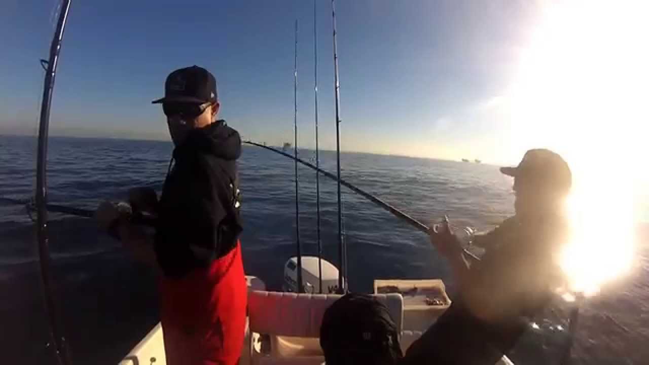 Horseshoe Kelp Fishing YouTube