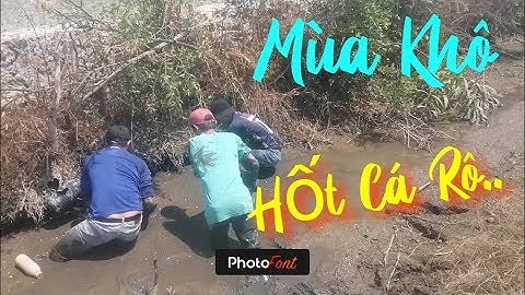 Nét Quê |Làm Gì Phải Hốt,Hốt Cá Rô Non Mùa Khô | GPF Miền Tây