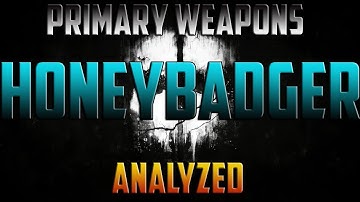 Ghosts in Analysis: AAC Honeybadger Analyzed