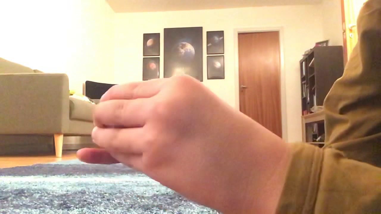 Egg funky haul (crazy)🦀🐍🐶