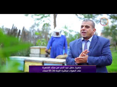 فيديو: مملكة النحل. الجزء الأول