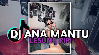 Download lagu DJ ANA MANTU LESUNG PIPI REMIX