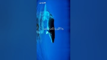 وذنون إذ ذهب مغاضبا || سورة الأنبياء /بصوت محمد طارق