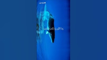 وذنون إذ ذهب مغاضبا || سورة الأنبياء /بصوت محمد طارق