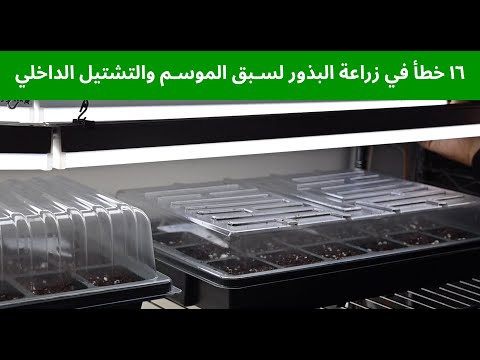 فيديو: علاج الفطريات أثناء الإنبات - كيفية التحكم في نمو الفطريات في صواني البذور