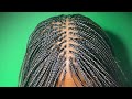 Micro Braids in 2020??? | Micro Braids on Long Natural Hair + Review of His and Her Hair Company