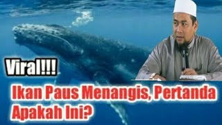 TANDA KIAMAT || Suara ikan paus biru menangis di laut mesir // Ustadz Zulkifl