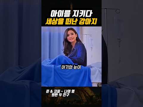아기를 지킨 강아지을 보고 끝내 남자는 눈물을 흘렸다...? 😭