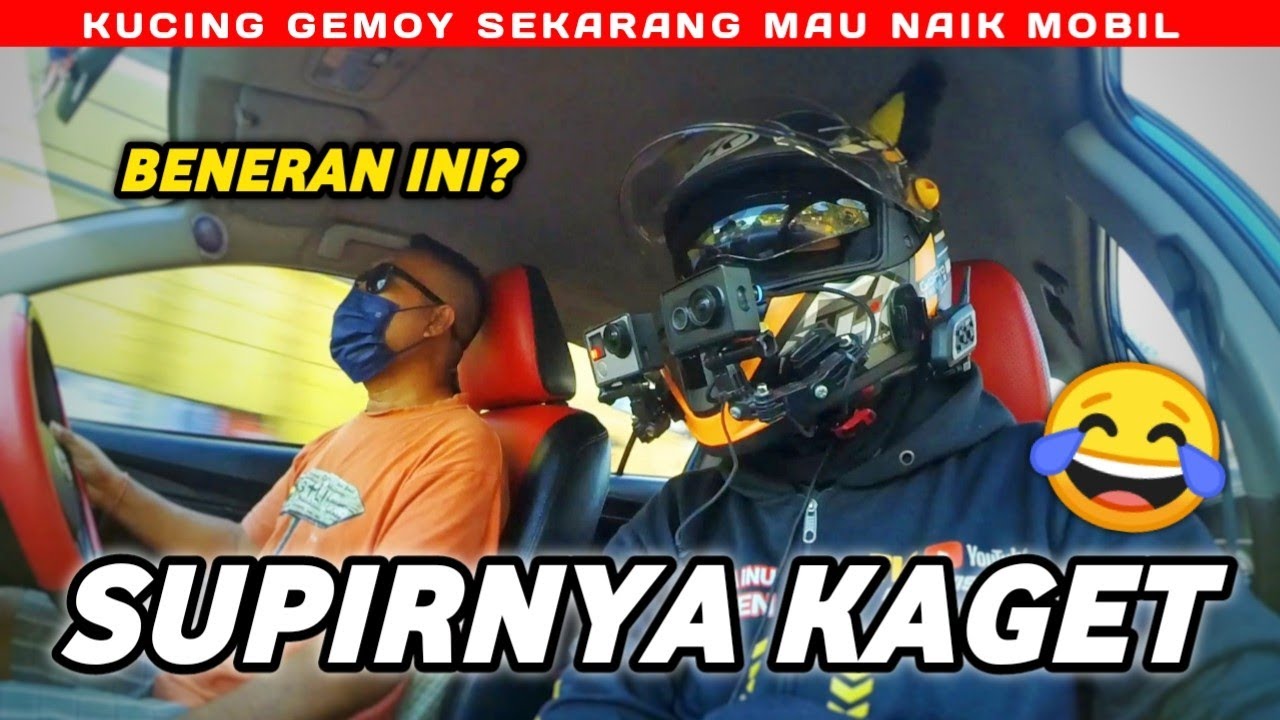 KUCING GEMOY SEKARANG NAIK MOBIL !! Daily Motovlog