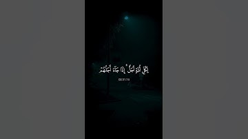 القارئ عبدالرحمن مسعد // اكتب شيء تؤجر عليه 😌🎧