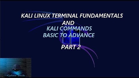 Kali linux terminal fundamentals and commands Part 2 (Bangla)