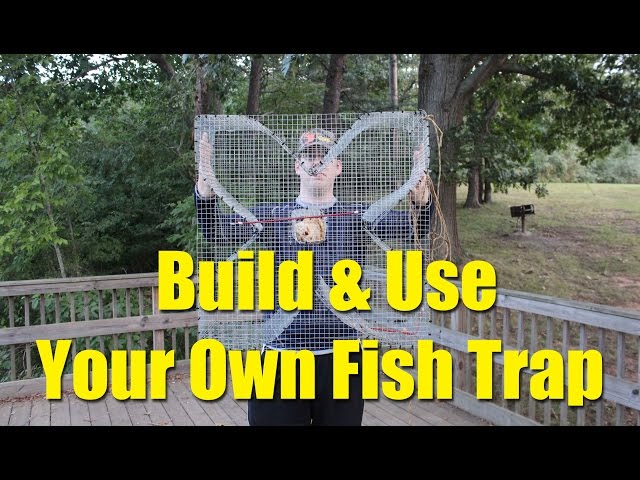 How to build a fish trap - four leaf clover trap for blue gill and bream 