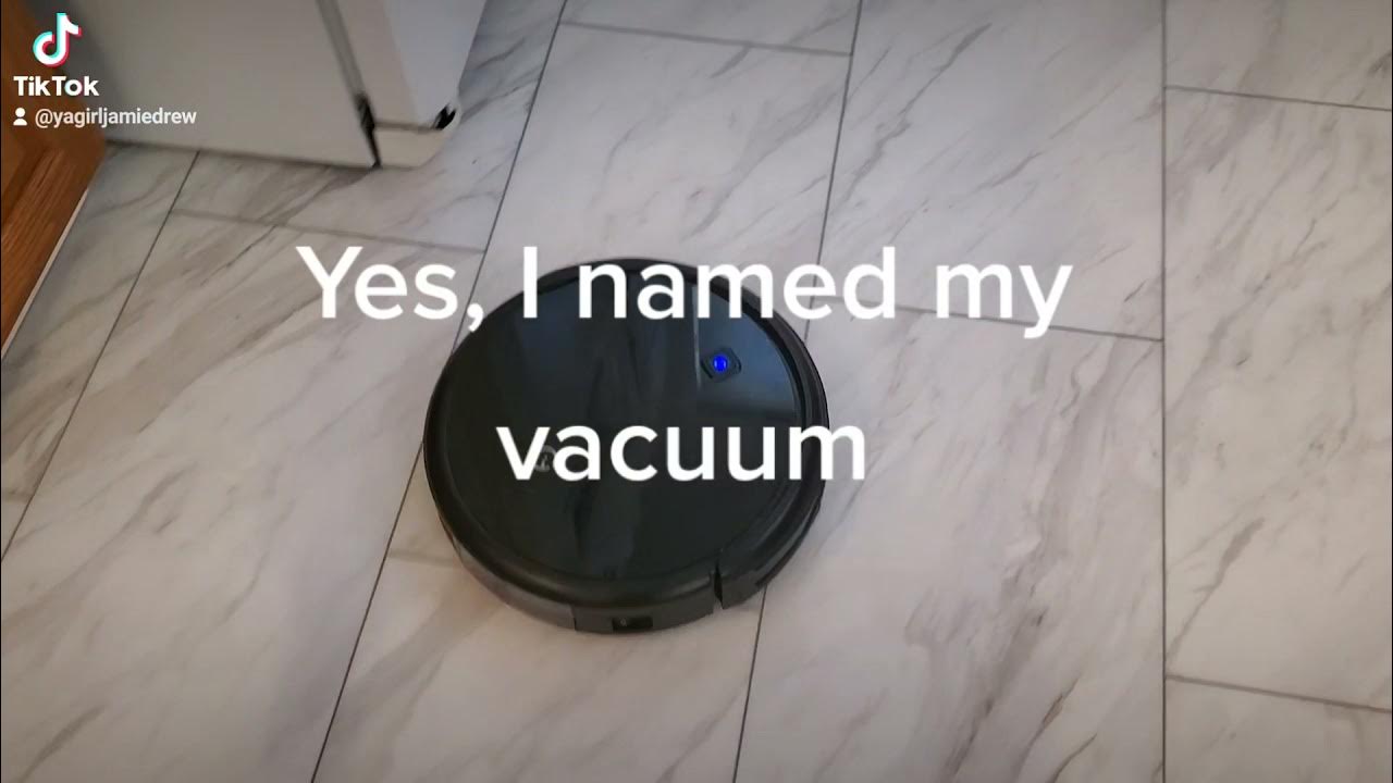 Why vacuum when Larry can do it? YouTube