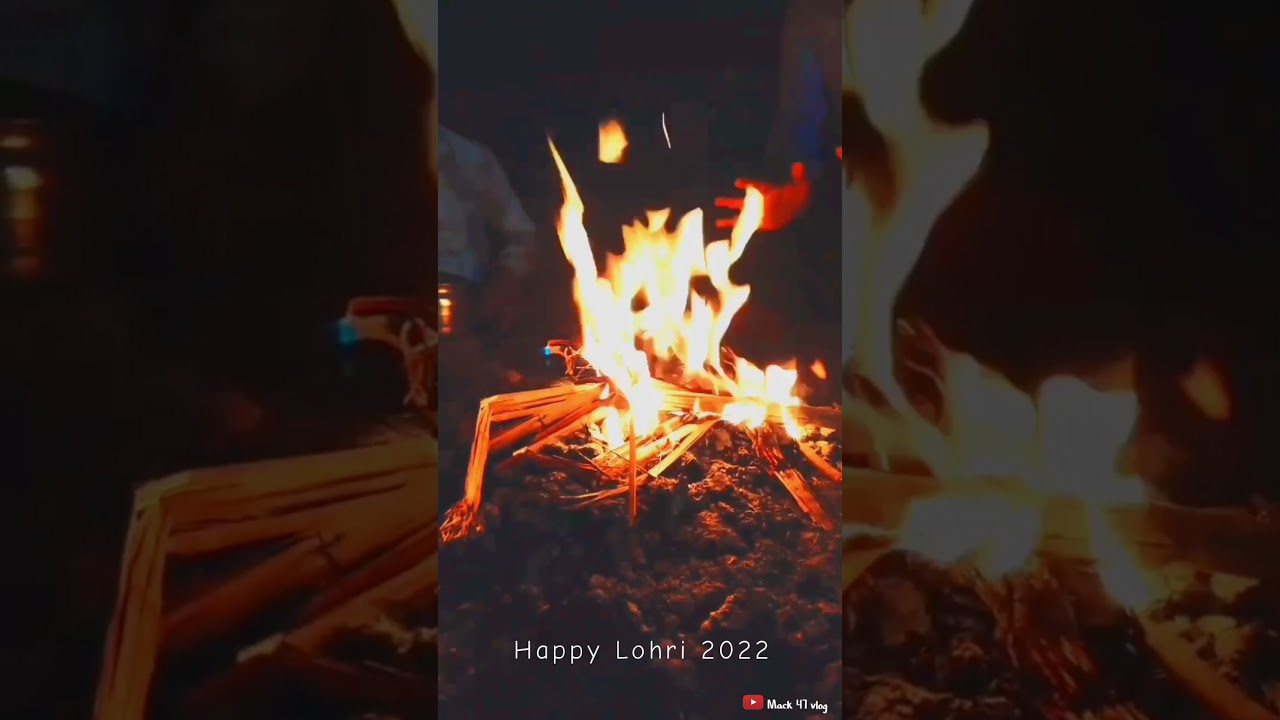 Lohri celebrations - Happy Lohri - Lohri Status - Lohri Shorts - Happy Lohri 2022 