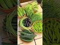 The changes of women after growing vegetables, are you alsoSame? #Idyll life is fun #Record