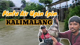 spot mancing ikan tawes di Kalimalang #ikantawes #pintuair #mancingmania