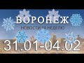 Новости Воронежа (31 января - 4 февраля)