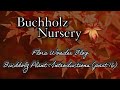 Flora Wonder | Buchholz Plant Introductions (Part 16)