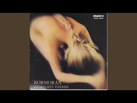 Kormorán — Add a kezed