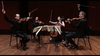 Joseph Haydn, String Quartet op.76/4 in B-flat major 'Sunrise'