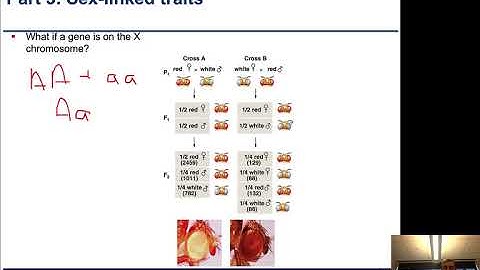 Chapter4-4-Complementation