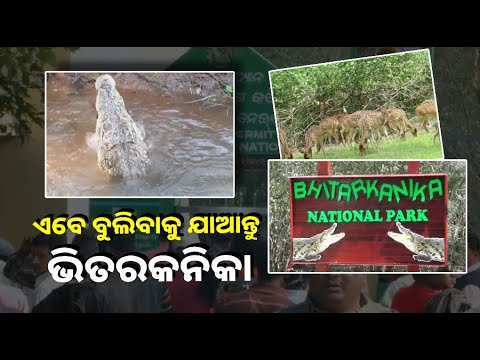 ଆଜିଠୁ ପୁଣି ଖୋଲିଲା ଭିତରକନିକା । ପ୍ରାକୃତିକ ଦୃଶ୍ୟ ଦେଖିବେ ସ୍କାଏ ଓାକରେ ||Knews Odisha