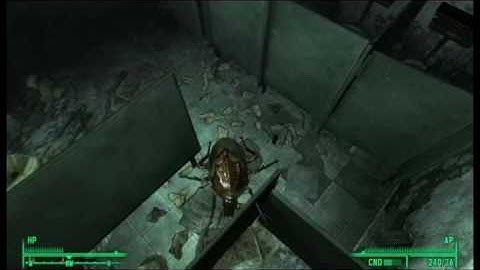 Fallout 3: Night of the Radroaches