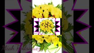 El color según tu signo GEMINIS #colors #tarot #signosdelzodiaco