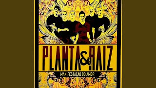 Oh Chuva - Planta e Raiz