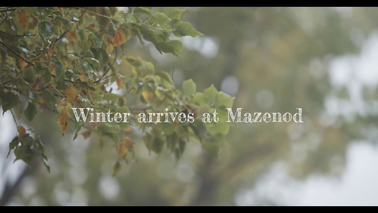 Winter arrives at Mazenod