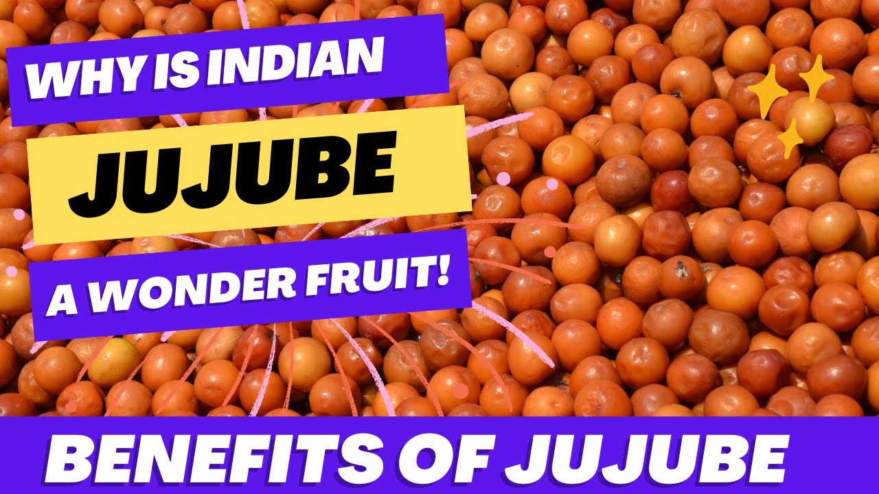 HOW beneficial is INDIAN JUJUBE (BOGORI) | Health BENEFITS |