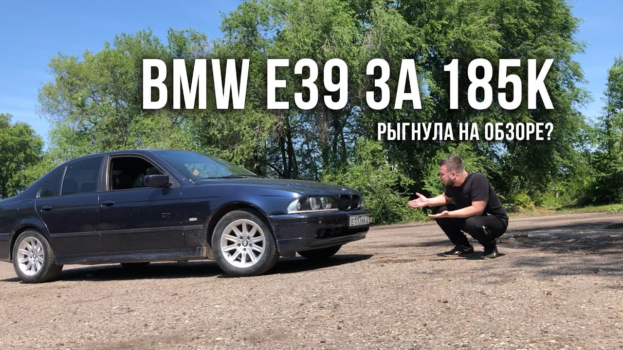 Бмв 31 81
