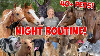 My Summer Night Routine with 40+ PETS  *SUPER CUTE ANIMALS*