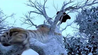 The Taking Of Tiger Mountain The Best Tiger Scene The Taking Of Tiger Mountain The Best Tiger Scene
