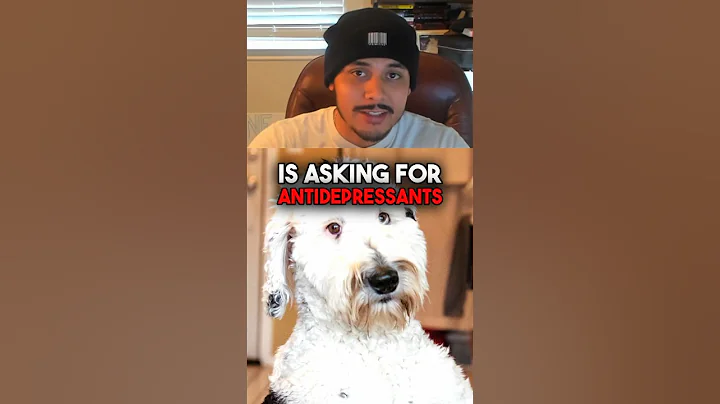 This Dog Learned English and is Now Having an Existential Crisis