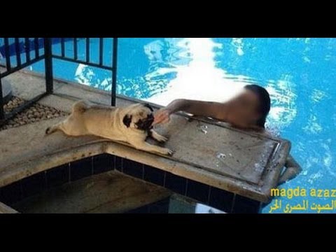 غادة عبدالرازق تلعب مع الكلب فى حمام السباحة