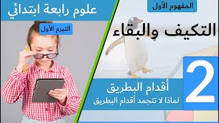 أقدام البطريق - التكيف و البقاء - لماذا لا تتجمد أقدام البطريق - علوم عربي الصف الرابع الإبتدائي