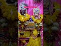 Braj k sbhi thakur😍 #vrindavan #barsana #radharaman #radhavallabh #bankebihari #trending #devotional