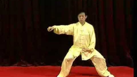 Chen Zhenglei. Chen Style Taijiquan first frame (chen shi taijiquan xin jia i lu)