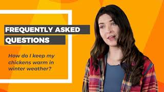 How Do I Keep My Chickens Warm in Winter Weather? | OverEZ Chicken Coop
