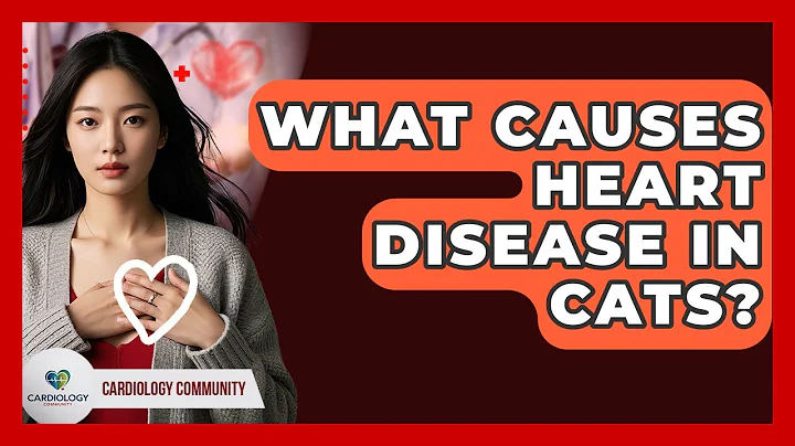 What Causes Heart Disease In Cats? - Cardiology Community