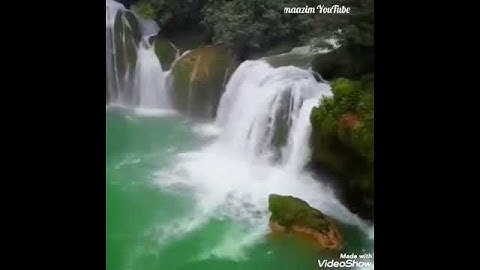 القارئ عمر الدريويز