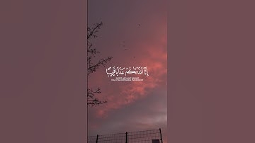 من سورة النبأ || زين العابدين الحديدي #quran #القرآن_الكريم #المصحف