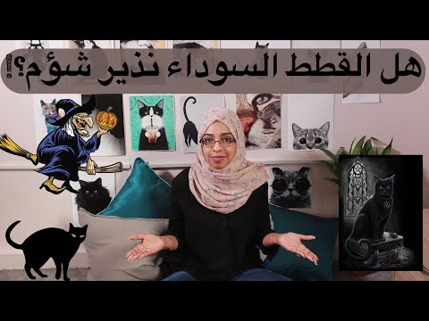 فيديو: لماذا تعتبر القطط السوداء سيئة الحظ
