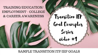 Transition IEP Goals Examples Series #1