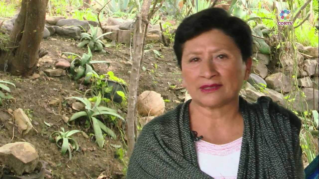 Conexión de los sentidos E11 18/06/2025