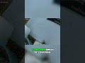 Pressure Washing Walkway: Cleaning Dirty Concrete!